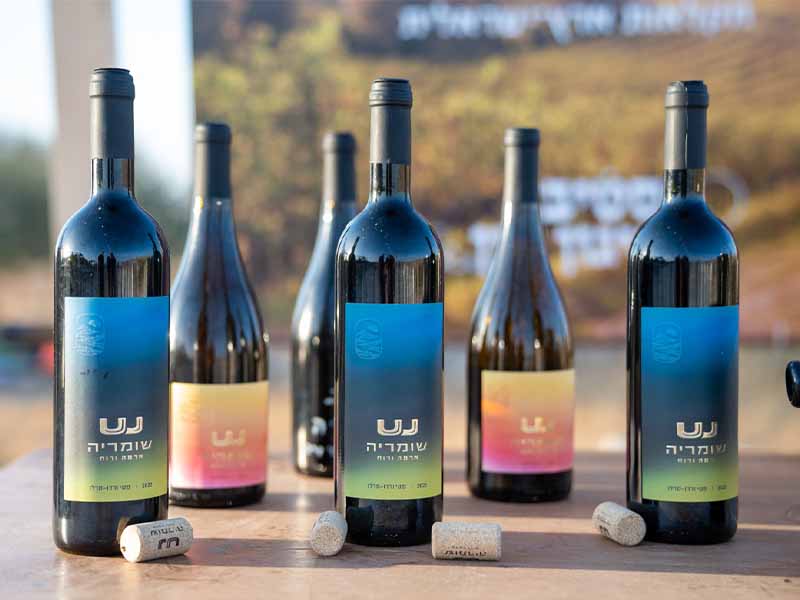 פסטיבל ניגון ויין ​ - היוצרים_0002_WhatsApp Image 2025-08-13 at 10.59.00 (1)